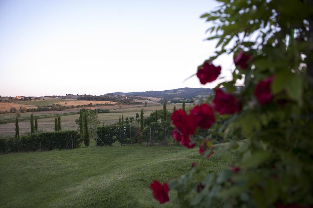 Agriturismo La Corte Dei Sogni Hotel Torrita di Siena Exterior photo